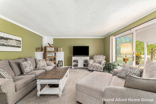 carpeted living room with ornamental molding and a textured ceiling