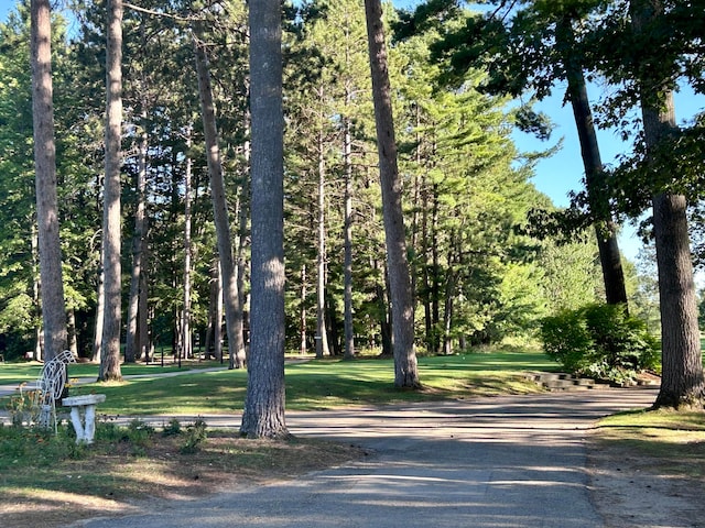 view of property's community with a yard