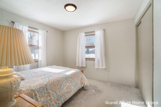 bedroom featuring carpet flooring and a closet