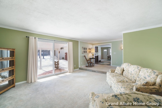 living room with crown molding, carpet, and a textured ceiling