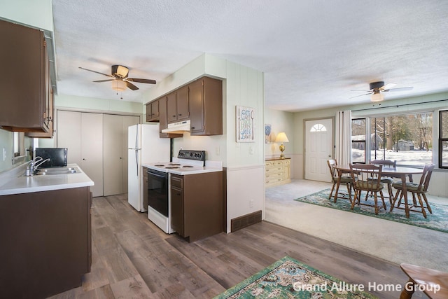 kitchen featuring dark hardwood / wood-style floors, sink, white appliances, dark brown cabinets, and a textured ceiling