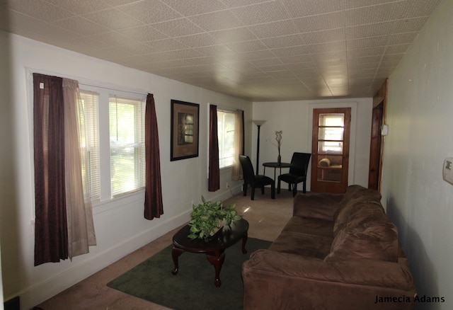 living room featuring plenty of natural light