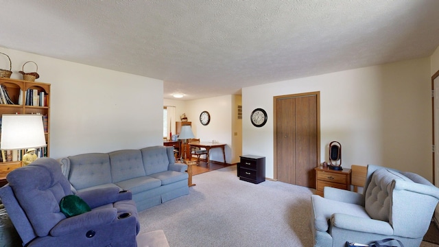 carpeted living room featuring a textured ceiling