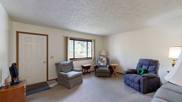 sitting room with a textured ceiling and light colored carpet