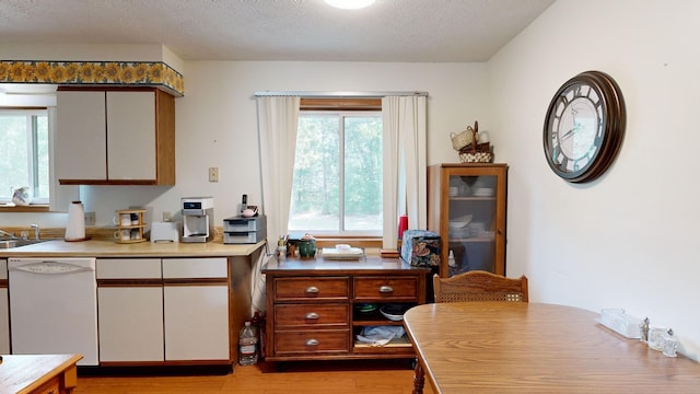 kitchen with dishwasher, light wood-type flooring, a textured ceiling, and a wealth of natural light