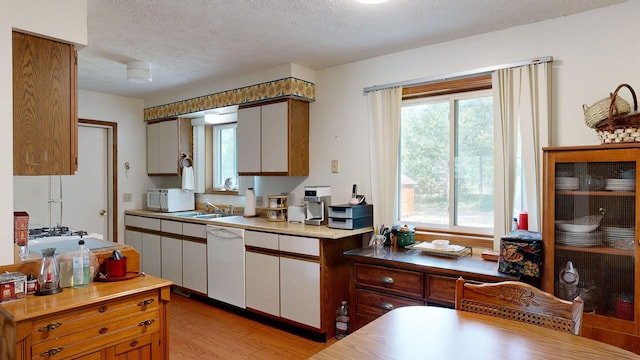 kitchen with dishwasher, a healthy amount of sunlight, a textured ceiling, and light hardwood / wood-style flooring