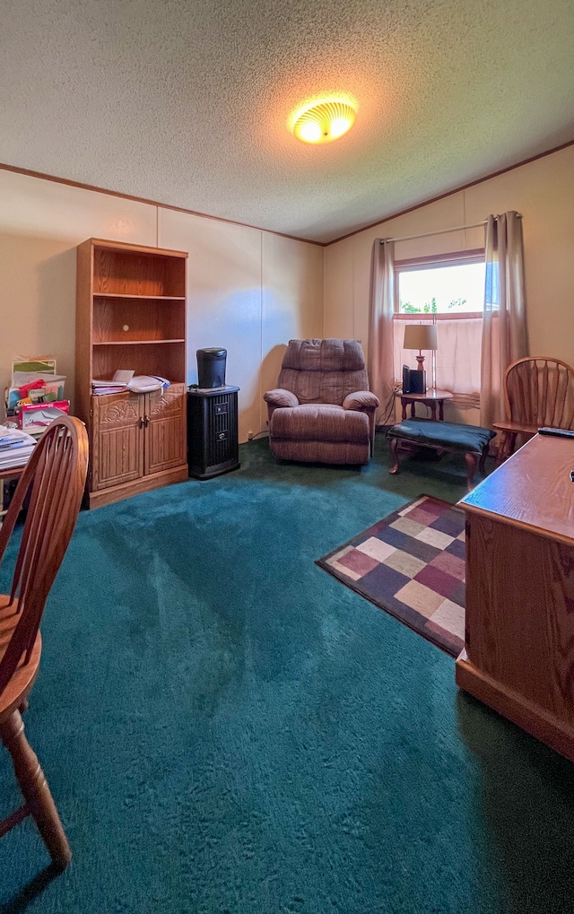 carpeted living room with a textured ceiling