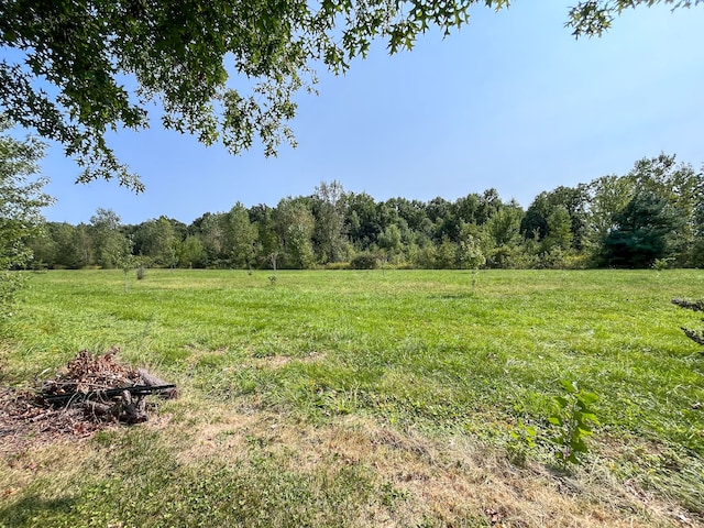 view of yard with a rural view