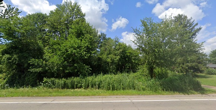 Vacant Wayne Road, Romulus, MI 48174