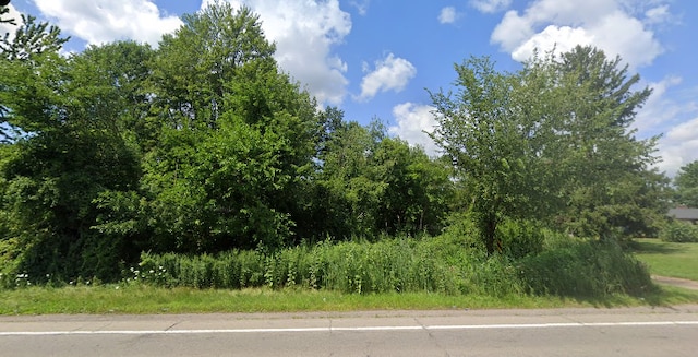 Vacant Wayne Road, Romulus, MI 48174