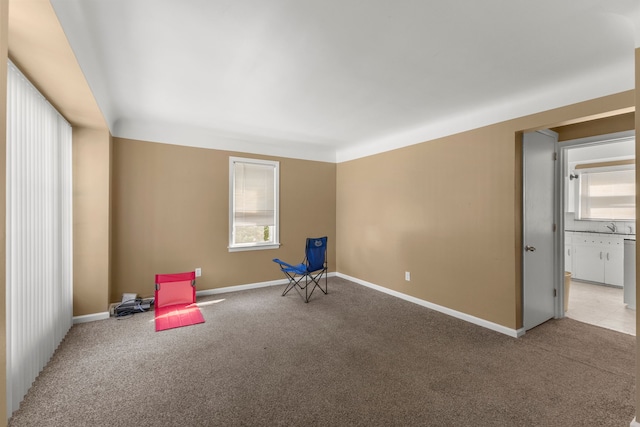 playroom featuring sink and light carpet