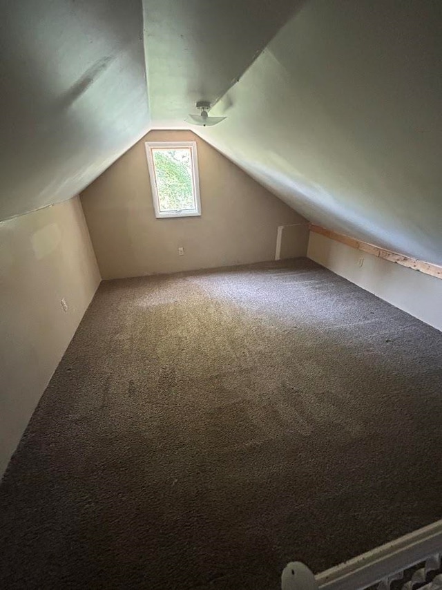 additional living space featuring carpet and vaulted ceiling