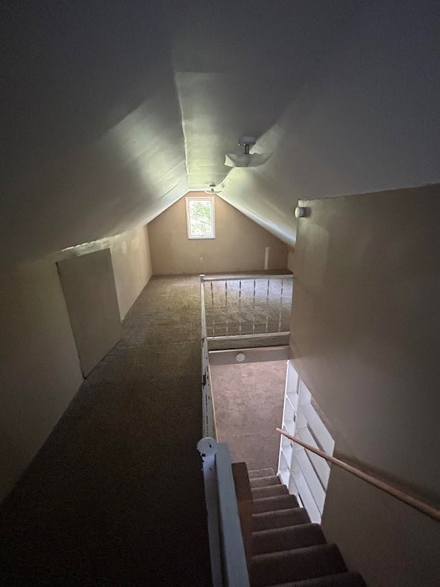 staircase with carpet floors and vaulted ceiling