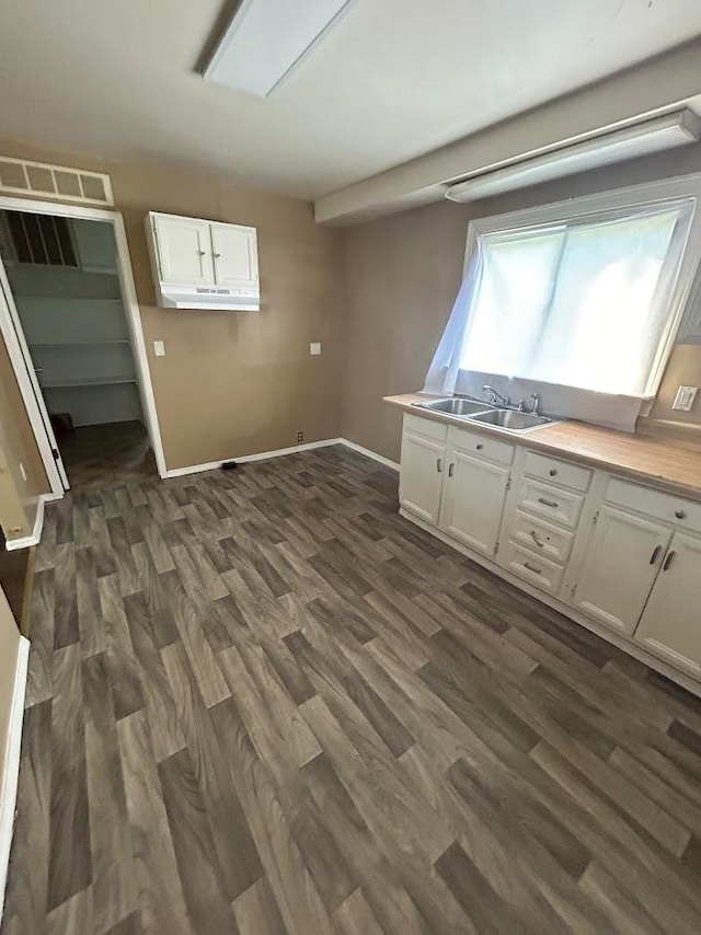 kitchen with white cabinetry, dark wood-type flooring, and sink