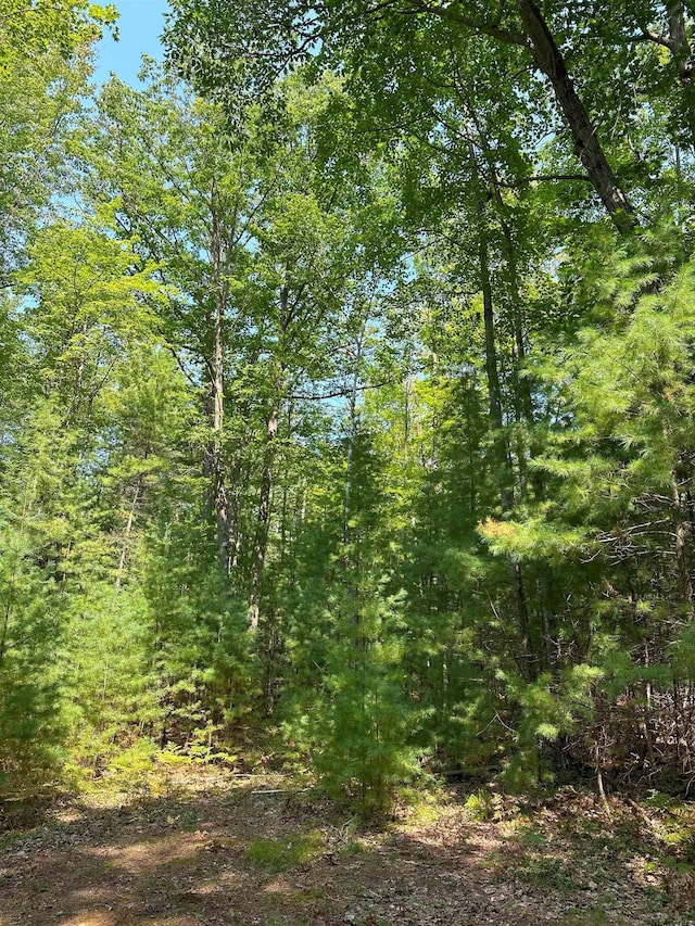 592 SE Blue Heron Dr, Kalkaska, MI 49646 - photo 6