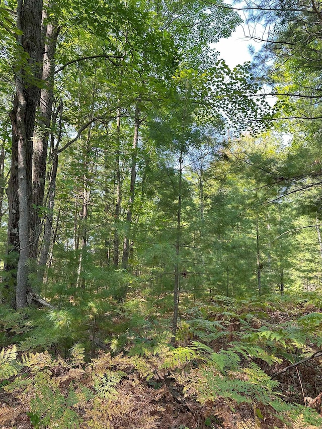 592 SE Blue Heron Dr, Kalkaska, MI 49646 - photo 3