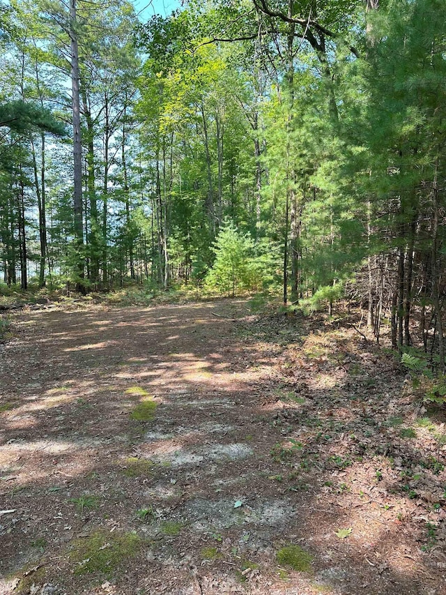 592 SE Blue Heron Dr, Kalkaska, MI 49646 - photo 5