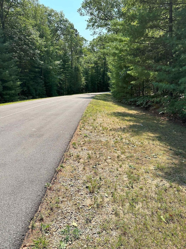 592 SE Blue Heron Dr, Kalkaska, MI 49646 - photo 8