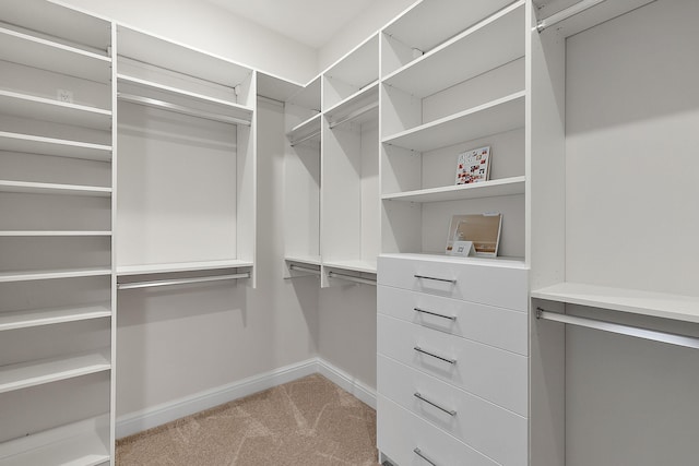 spacious closet featuring light carpet