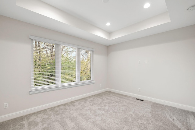 unfurnished room with a raised ceiling, a wealth of natural light, and carpet