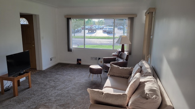 living area featuring carpet floors