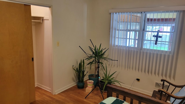 office with light hardwood / wood-style floors