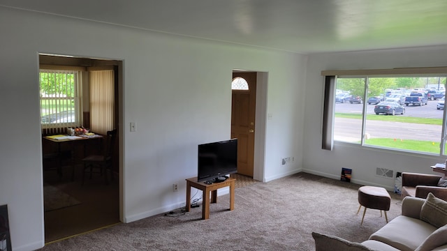 view of carpeted living room