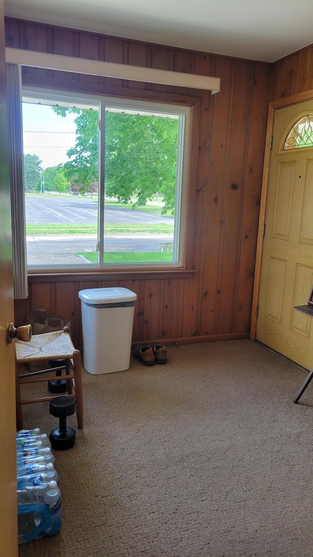 misc room with wooden walls and carpet floors