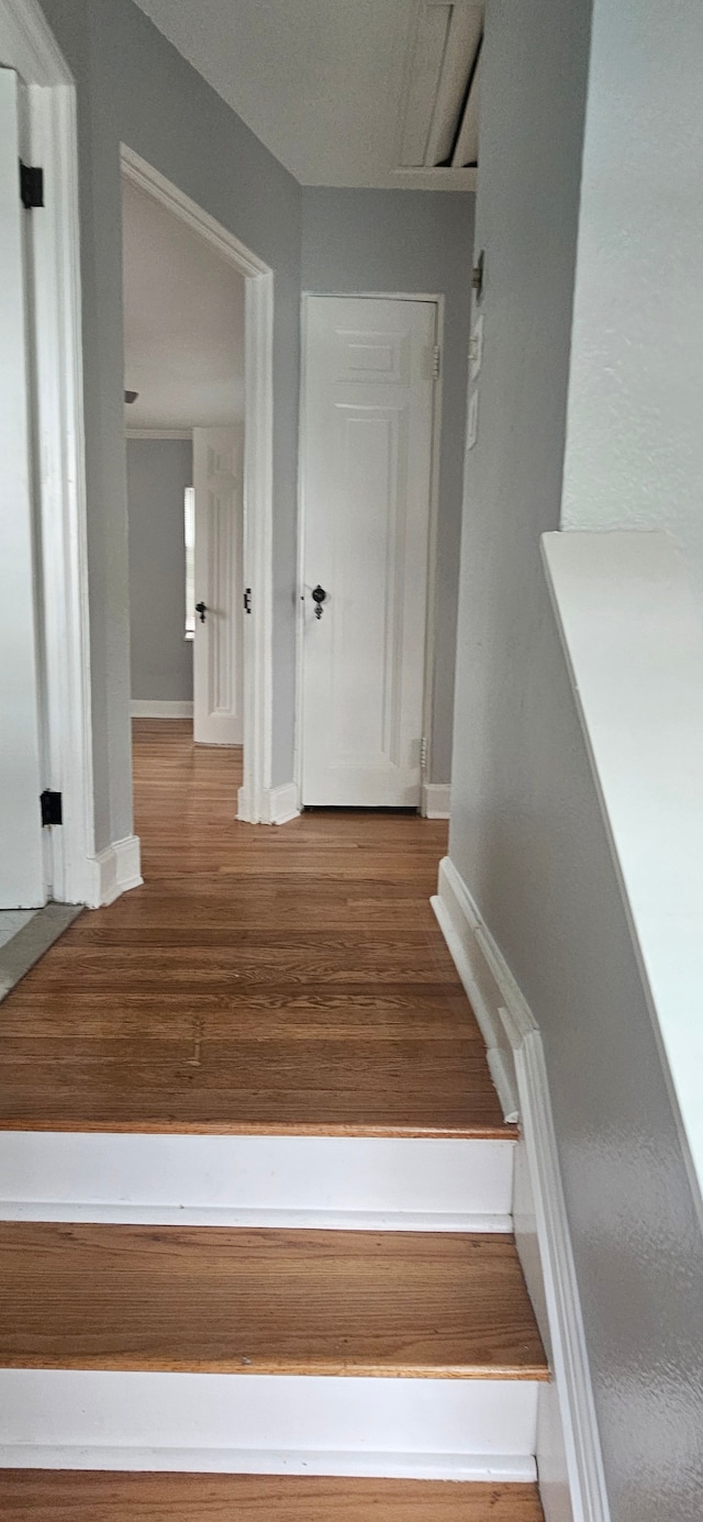 staircase with hardwood / wood-style flooring