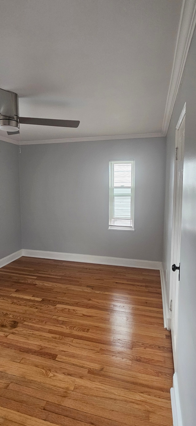 empty room featuring light hardwood / wood-style floors and crown molding