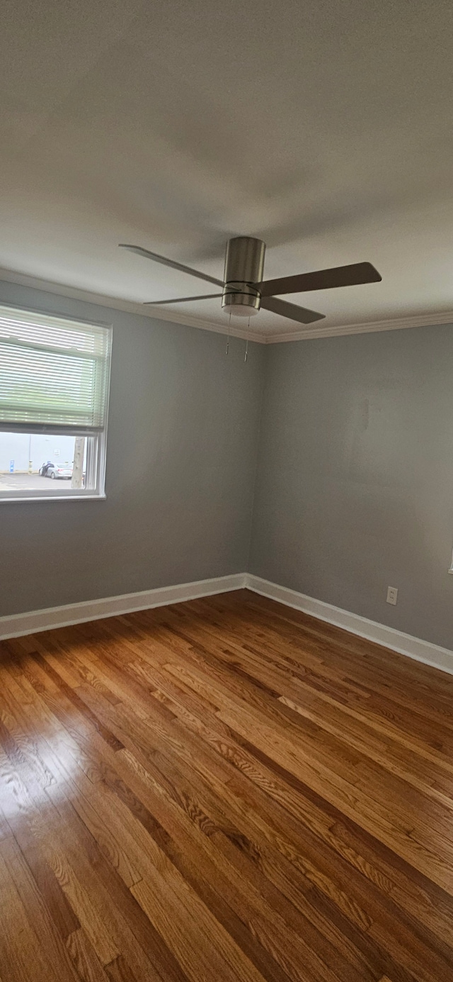 spare room featuring wood-type flooring and ceiling fan