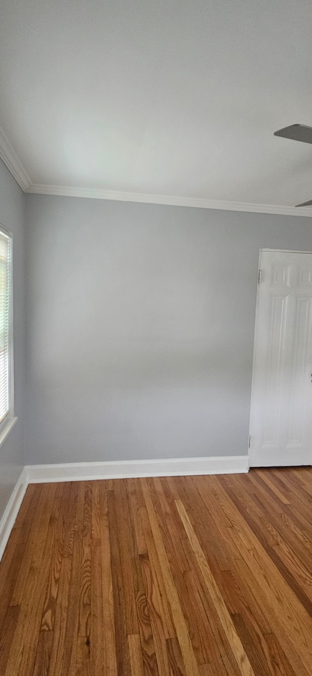 spare room with ornamental molding and hardwood / wood-style flooring