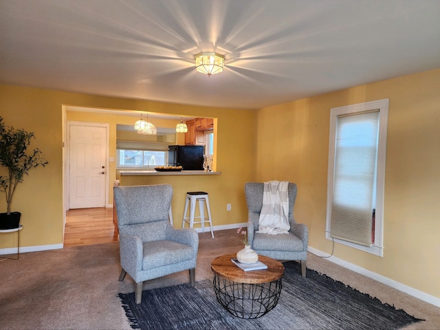 sitting room with carpet floors