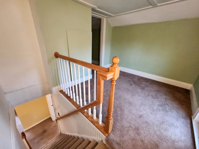 stairs with carpet flooring