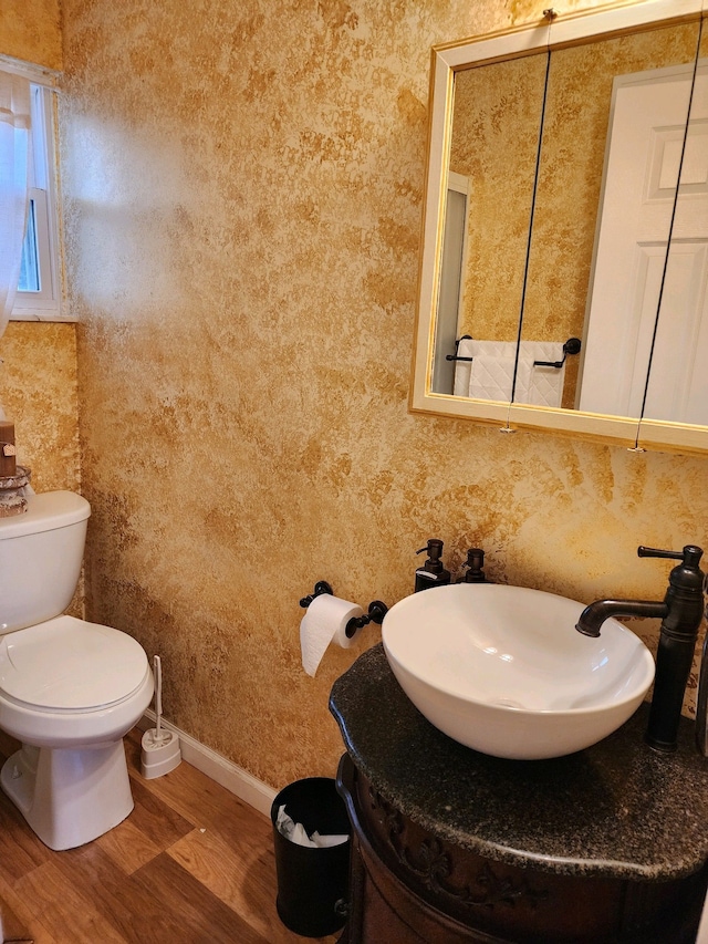 bathroom with wood-type flooring, vanity, and toilet