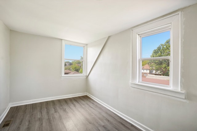 bonus room featuring a healthy amount of sunlight and wood-type flooring