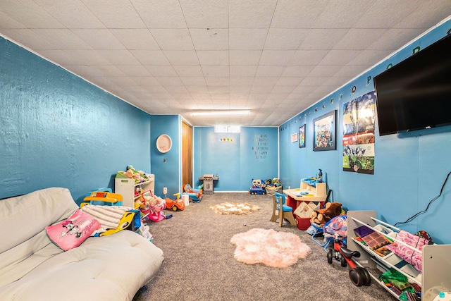 playroom with carpet floors