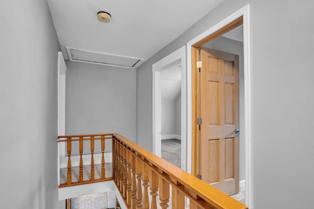 hallway featuring carpet floors