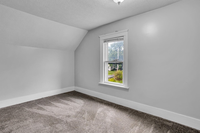 additional living space featuring a textured ceiling, carpet, and lofted ceiling