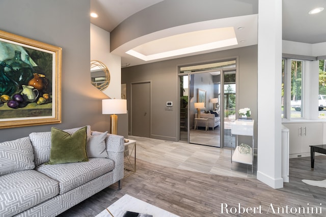 living room featuring a raised ceiling and wood-type flooring