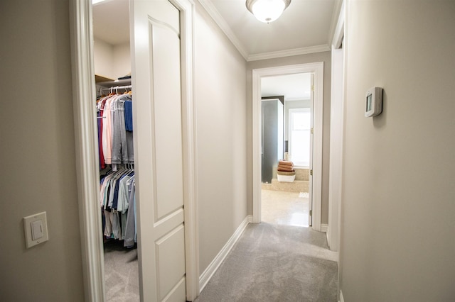 hall with light carpet and crown molding