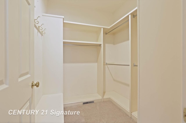 walk in closet with carpet flooring