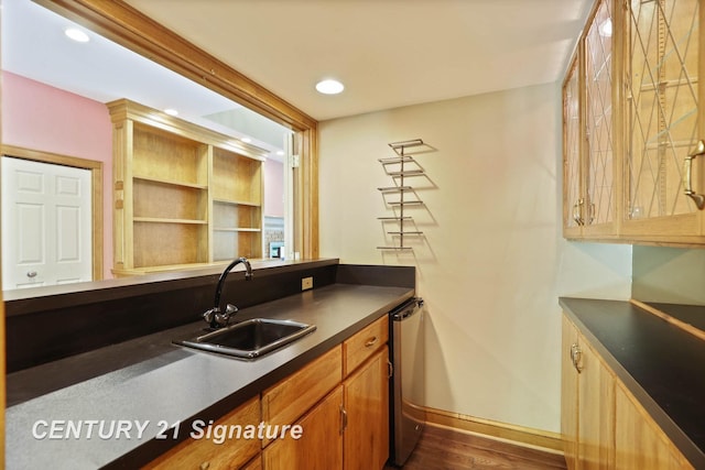 kitchen with dark hardwood / wood-style flooring and sink