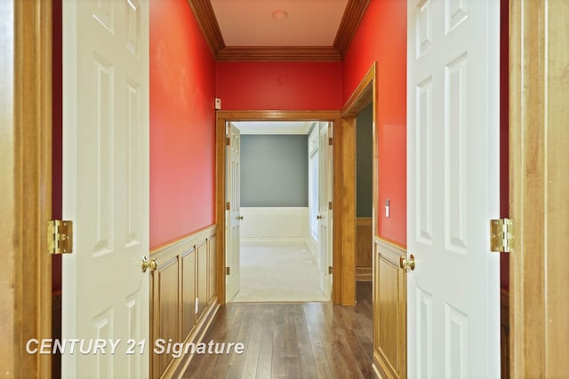 corridor featuring crown molding and hardwood / wood-style flooring