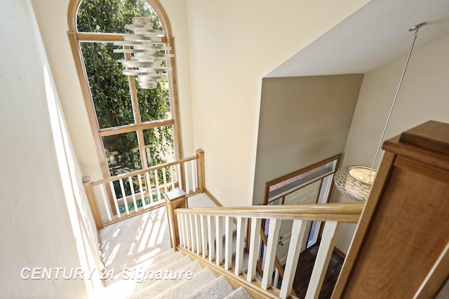 staircase with carpet flooring and a textured ceiling