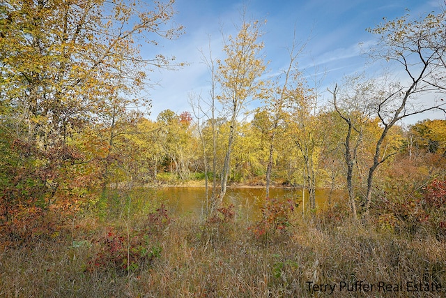 view of landscape with a water view