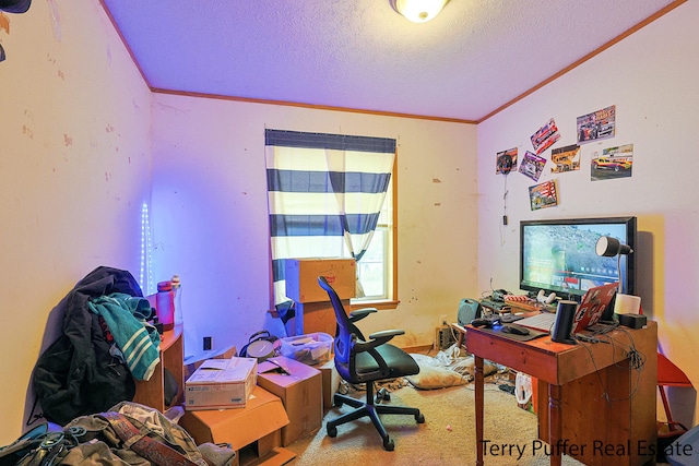 office with carpet flooring, crown molding, and a textured ceiling