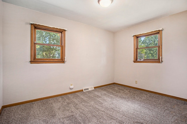 spare room featuring carpet flooring and a wealth of natural light