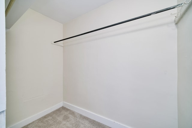 walk in closet featuring light colored carpet