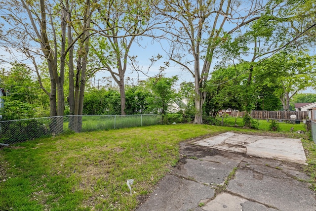 view of yard featuring a patio